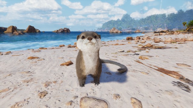 An otter looking at the camera in Ark: Survival Ascended.